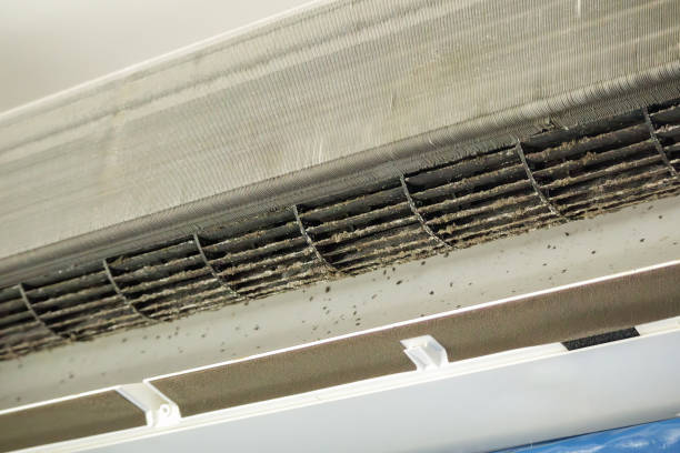 Best Ventilation Cleaning Services  in Springdale, NJ